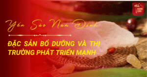 yen-sao-nam-dinh-0
