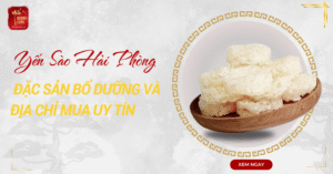 yen-sao-hai-phong-0