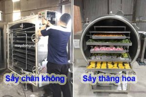 say-thang-hoa-va-say-chan-khong