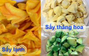 say-thang-hoa-va-say-lanh-2