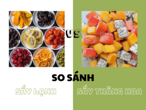 so-sanh-say-lanh-va-say-thang-hoa-1