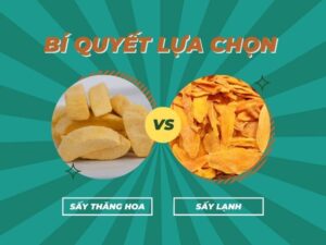 say-thang-hoa-va-say-lanh