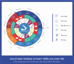 thoi-gian-yen-lam-to-1