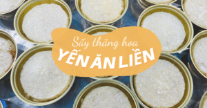 to-yen-an-lien-3