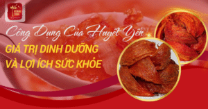 cong-dung-cua-yen-huyet-0