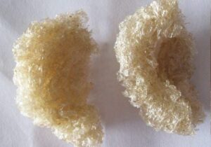 cach-nhan-biet-yen-sao-gia-4