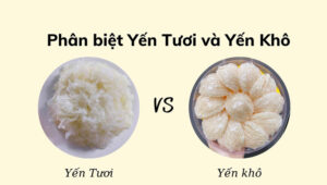 so-sanh-yen-tuoi-va-yen-kho
